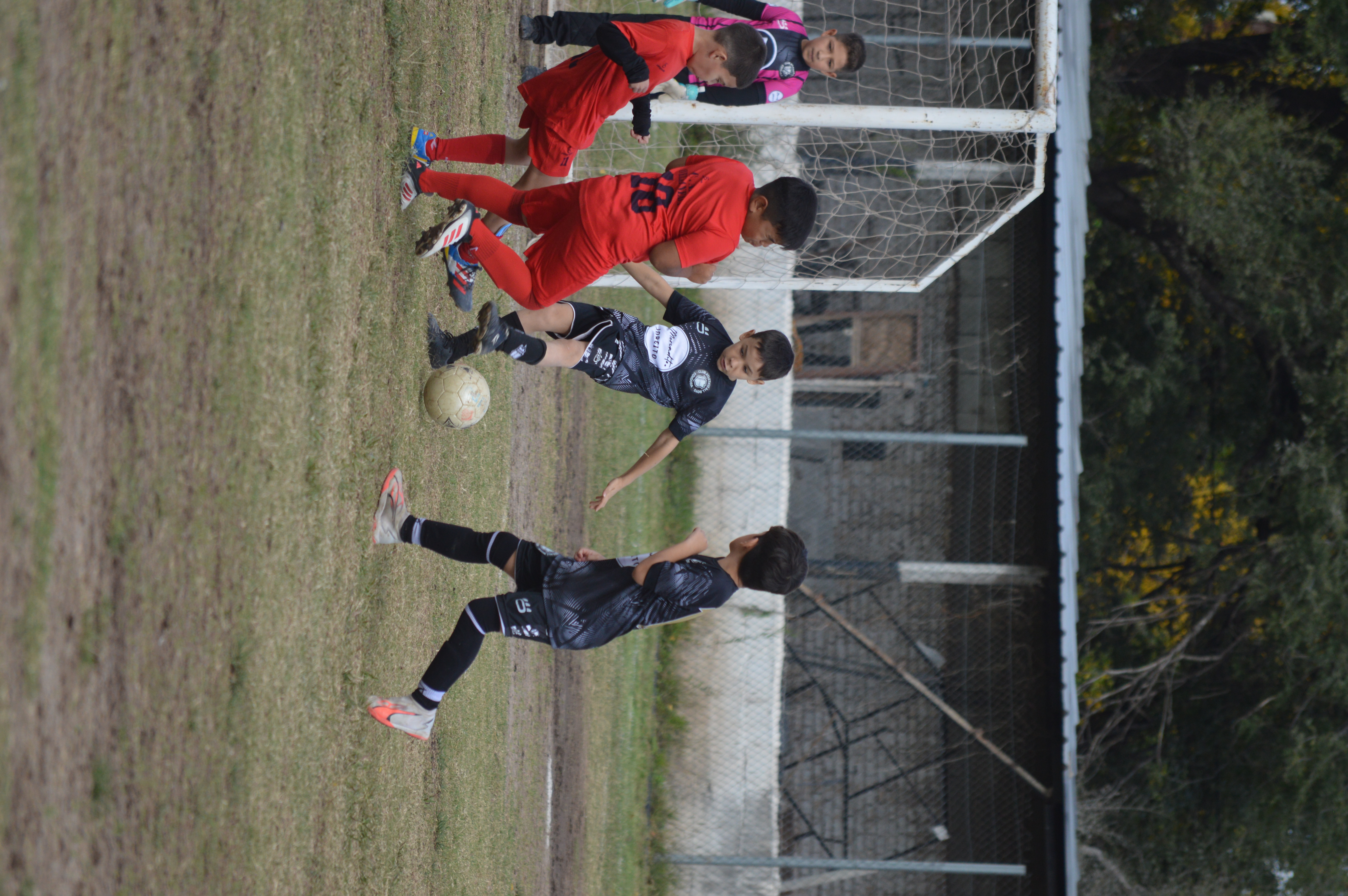 Imagen 1